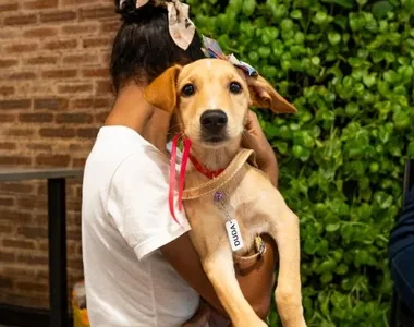 Edição especial do Adote no Parque acontece neste sábado (22)
