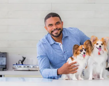 Fogos de artifício representam um risco sério à vida dos pets