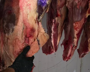 Açougues foram fiscalizados pela Polícia Civil