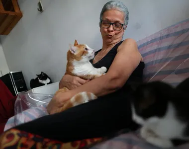 Maria Spares acompanhada por Brad Pepe (no colo), Juju (canto direito da imagem) e Zé Pipoca (ao fundo)