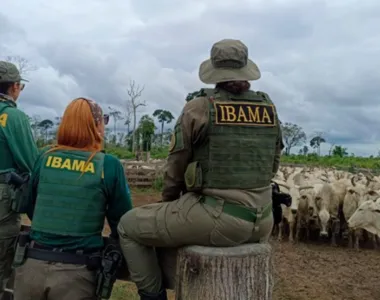 Vagas estão espalhadas por 19 estados