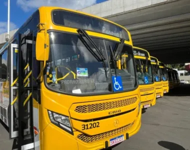 Linhas extras serão disponibilizadas