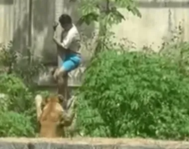 Leoa foi pra cima da vítima