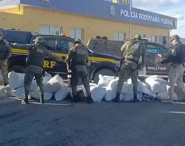 Mega-apreensão de maconha na BR-235