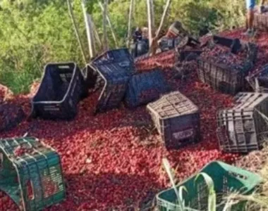 Tragédia aconteceu nesta sexta-feira (6)