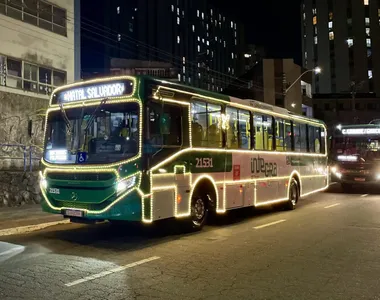 Linha contará com 35 viagens