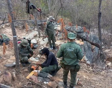 Crime acontecia no Parque Nacional do Boqueirão da Onça