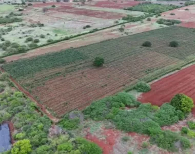 Suspeitos fugiram do local