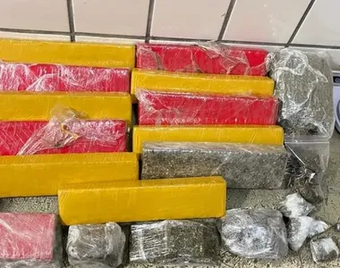 Grande apreensão realizada pela polícia