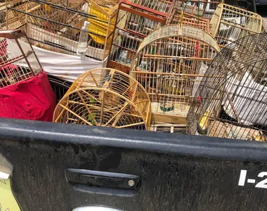 Criminosos prendiam aves em diversas gaiolas