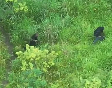 Ao todo, 14 criminosos ja foram localizados