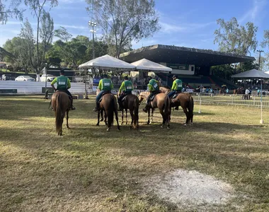 Cavalos são julgados em diversas etapas