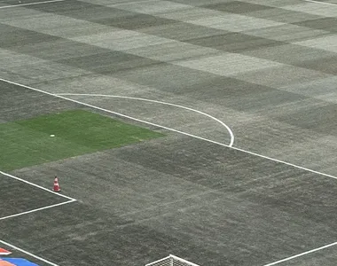 Gramado da Arena Fonte Nova