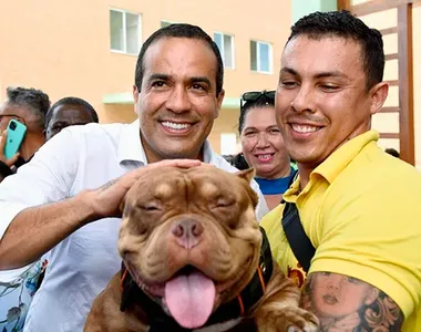 Lei sancionada em Salvador estabelece normas para cremação e bem-estar animal