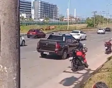 Imagens que circulam nas redes sociais mostram o trânsito travado e pelo menos dois carros danificados