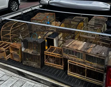 Cativeiro foi desmontado na RMS