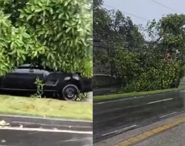 Apesar do susto, ninguém ficou ferido