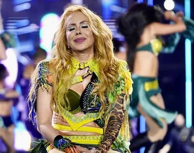 Internautas defenderam a cantora após episódio