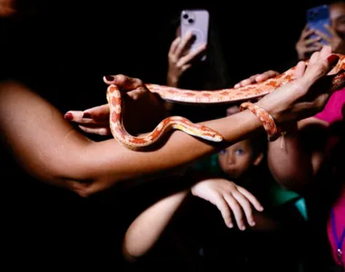 Programação segue até o dia 1°