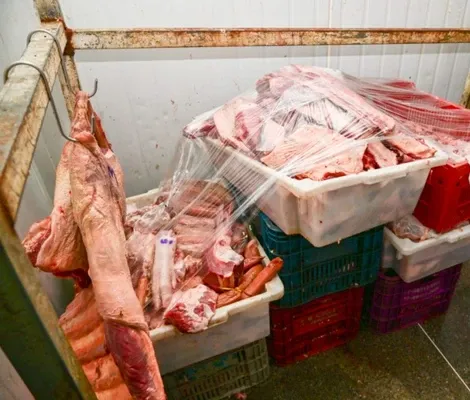 Imagem ilustrativa da imagem Açougue com carne podre é fechado em cidade baiana