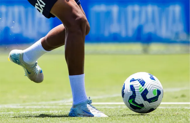 Imagem ilustrativa da imagem 