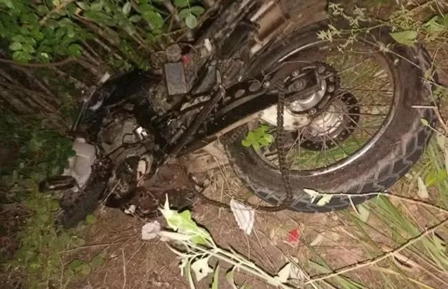 Imagem ilustrativa da imagem 