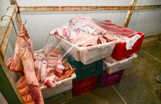 Imagem ilustrativa da imagem 