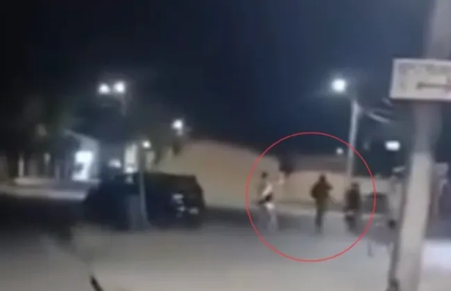 Imagem ilustrativa da imagem 