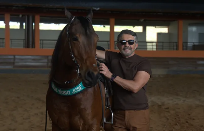 Imagem ilustrativa da imagem 