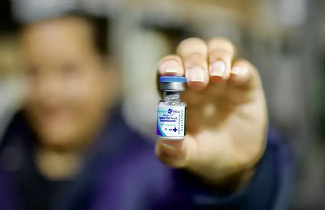 Imagem ilustrativa da imagem 