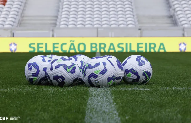 Imagem ilustrativa da imagem 