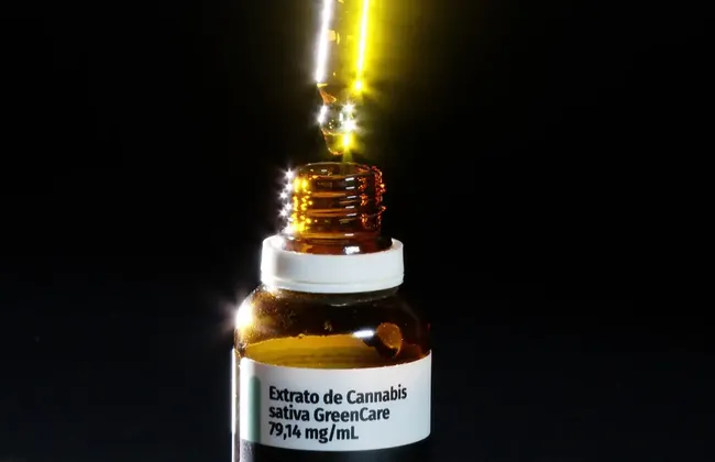 Imagem ilustrativa da imagem 