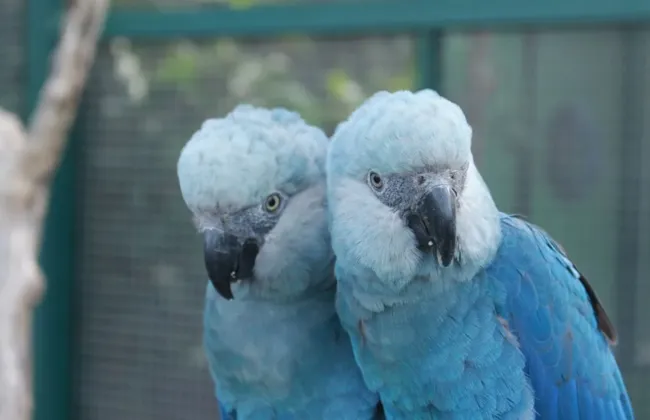 Imagem ilustrativa da imagem 