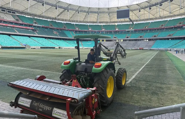 Imagem ilustrativa da imagem 