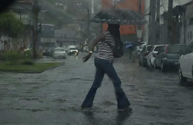 Imagem ilustrativa da imagem 