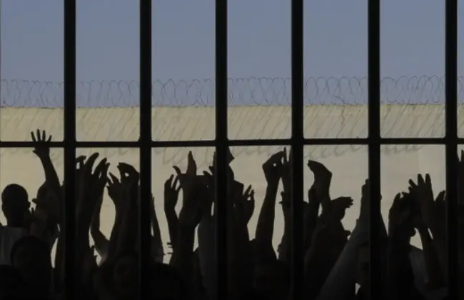 Imagem ilustrativa da imagem 