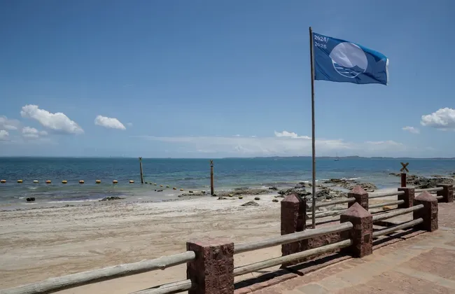 Imagem ilustrativa da imagem 