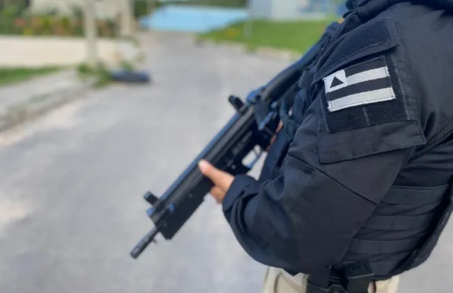 Imagem ilustrativa da imagem 