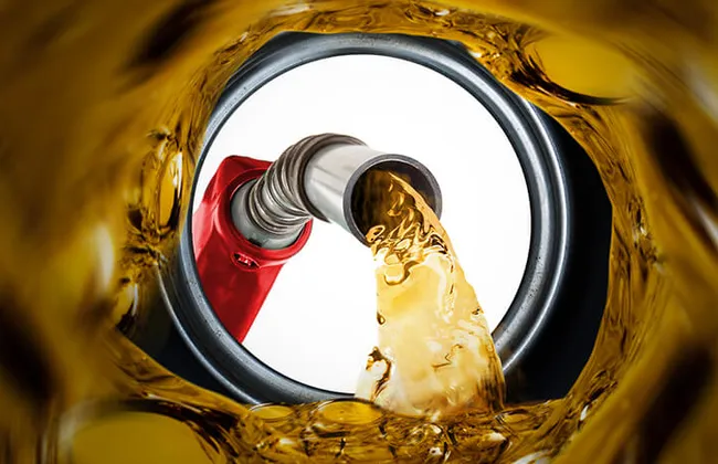 Imagem ilustrativa da imagem 