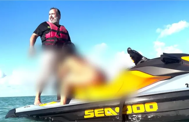 Imagem ilustrativa da imagem 