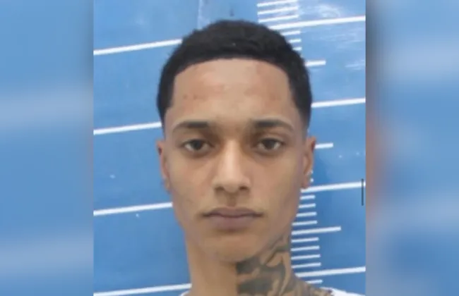 Imagem ilustrativa da imagem 