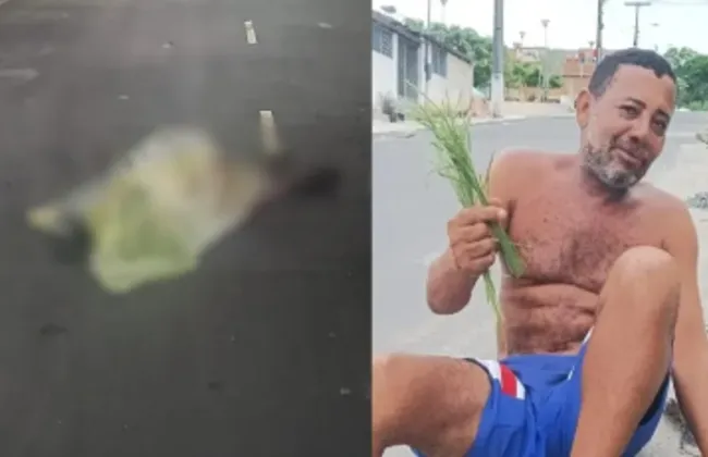 Imagem ilustrativa da imagem 