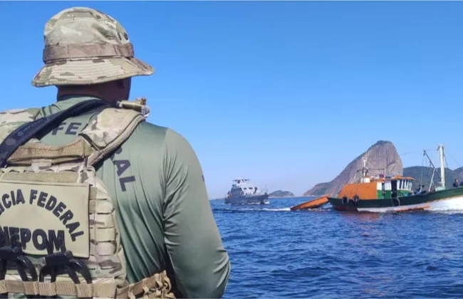 Imagem ilustrativa da imagem 