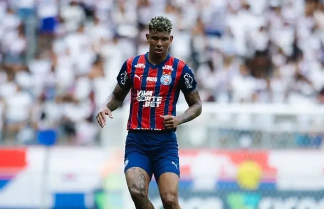 Imagem ilustrativa da imagem 