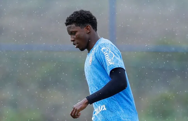 Imagem ilustrativa da imagem 