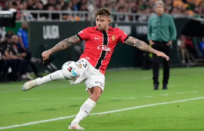 Imagem ilustrativa da imagem 