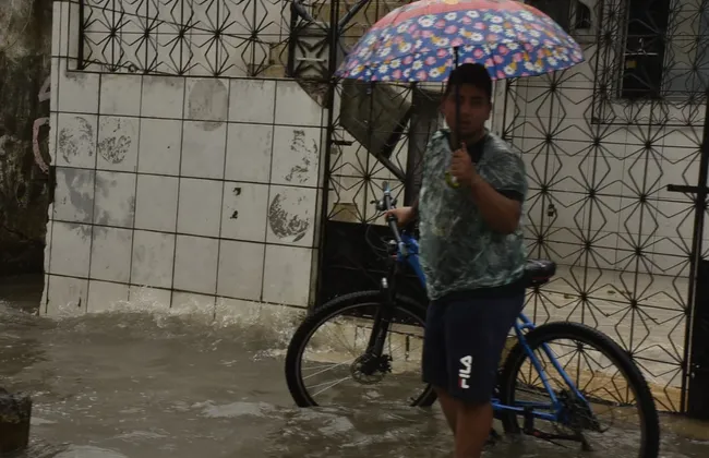 Imagem ilustrativa da imagem 