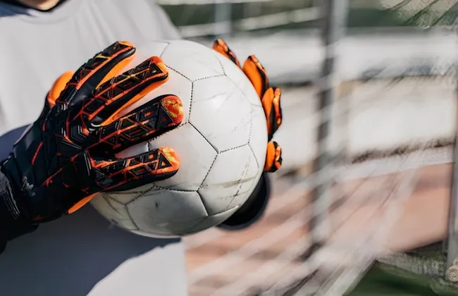 Imagem ilustrativa da imagem 