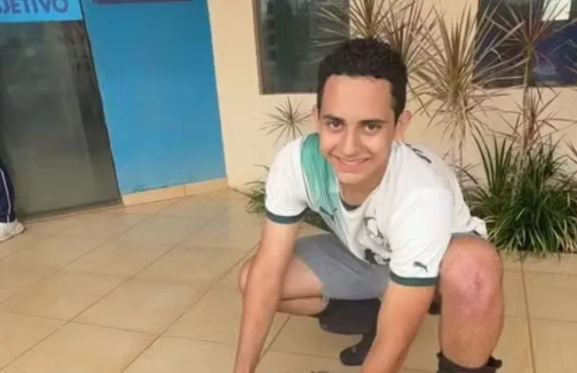 Imagem ilustrativa da imagem 