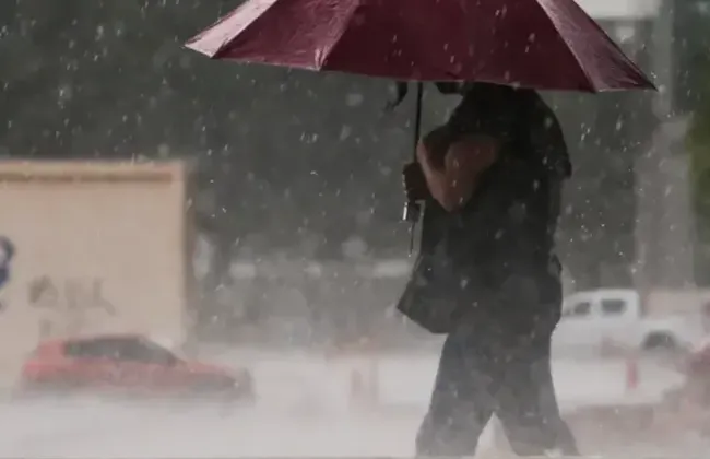 Imagem ilustrativa da imagem 